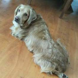 D 1737e0f0 12d9 4d54 a8b6 10a812c13bb2