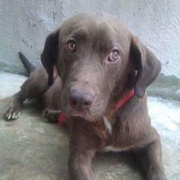 D 9f2276c0 9c82 46dc 9d89 f00bd0cdf12b