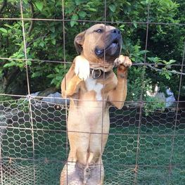 D 9d3348f8 87ce 4fe2 bc2e f9b5276078d2