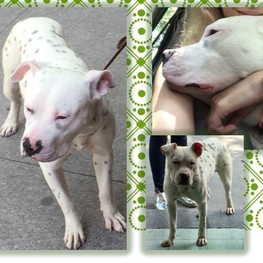 D 52061adf 287f 4709 9e30 48749bc0e2a5