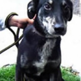 D 33fe1d9c 382e 4f54 a1b4 c36a67d14e9a