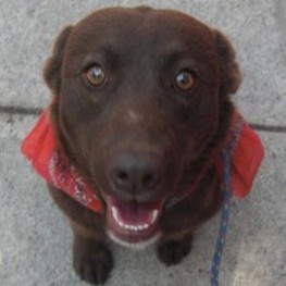 D a436a216 a5ee 4fad 8ecc a2899fc89417