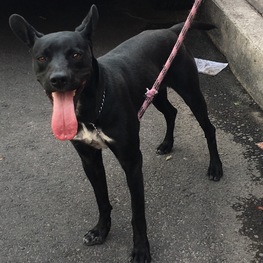 D e3ab1e79 1462 476c 902e d1b7e6d5da7c