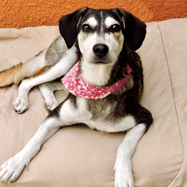 D 40ceb40b b843 407f aabe feca85b6fb89