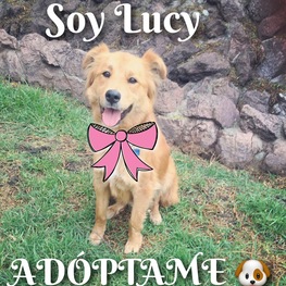 D 10b93a2d 4c3f 480a b1b0 4098adaff811