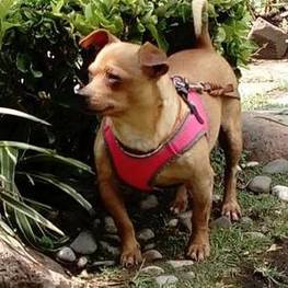 D 4f8fe781 aa36 472a 9c02 3462fbf3eecb