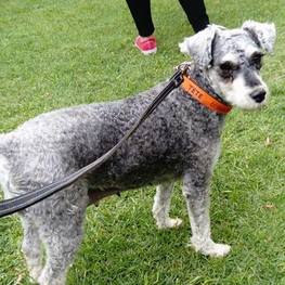 D 39c606d4 a7c5 4308 8466 5561a74f3307