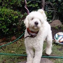 D e71eec1e 1506 41e7 8ff3 5be9c97acc1b