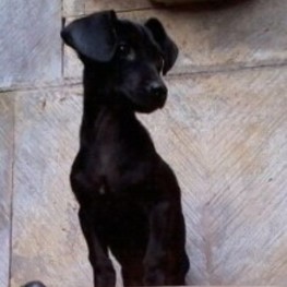 D b8809854 5daf 43e2 b5d0 05d21371fdba