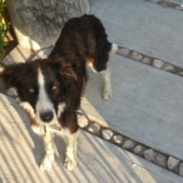 D dc2ef067 1f73 4bb7 a2b0 168d30332f59