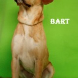 D 36a35926 72ac 41aa af66 11fc4fab7a9d