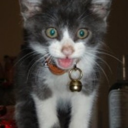 D 13d6207a 8d1f 4df9 a3df 56f21d396614