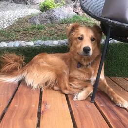 D b76567c4 5ed2 452c 907d 2629c93a7030