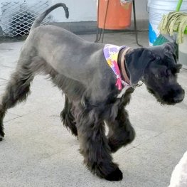 D 9fb0c74c b342 4af3 93ef 1f7c48001477