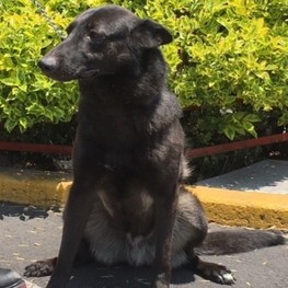 D 9c07ecf4 7a18 4be0 8277 5a35c93759b5