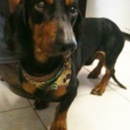 D a5f8a9f4 ab07 40a8 a473 136ca0592213