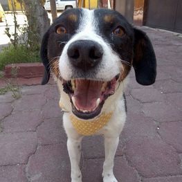 D a397eac1 cdc2 45a7 8836 df757f853a48