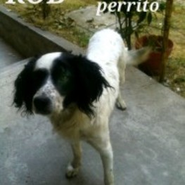 D b9e44e5e da3f 44ff 89c8 421a86389cb9