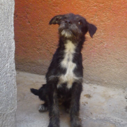 D 450df809 7af0 4e7c 9922 496645bd087b