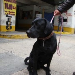 D 308bf337 3b5e 469a 84d4 ed3bde5e2bda