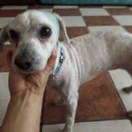 D f94aca39 33e8 450c a861 603fe3ef0951