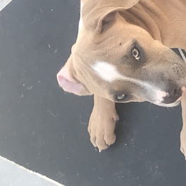 D 03bf8c08 9c5c 4398 9c4e 61ec2529bd88