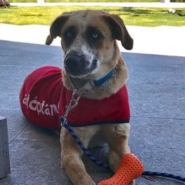 D 55bae1ff 0357 49e7 ab34 4a42850f9d78