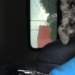 D 852312b1 3ed4 4779 8781 a08505f2b487