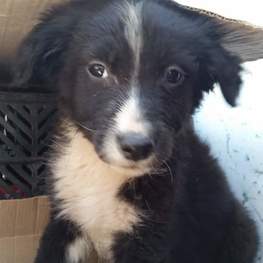 D 9c5b641b 75aa 4114 b853 ed1533b04251