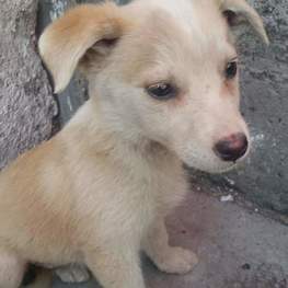 D ac75b19d 331a 48d1 95bb fb02266aadb9