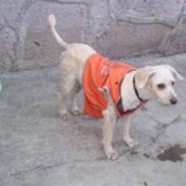 D 59af3e9b 076a 4960 a528 2206a246feb0