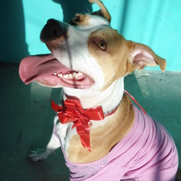 D 8f2c9687 ce5a 426a a8f4 1b3132715c08