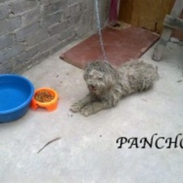 D 228c2dd0 0ab7 4b9d acef aa91d3b4aa8f