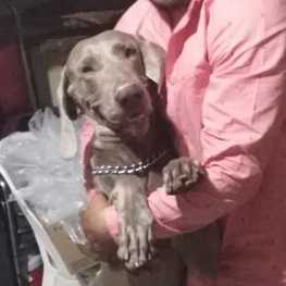 D 68493faf 4766 45bc 8c37 73d25ac01af1