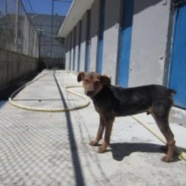 D c4da1272 f2f0 4113 97b1 5f3bbf6a2cbb