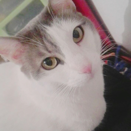 D 791b39d6 2b34 47f2 8fb5 f77094bcc8b8