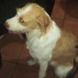 D 53b0aa10 4c47 4dc4 951d 39037e1012f4