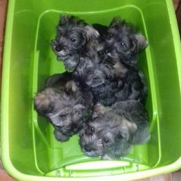 D e939bfbc 032c 40d7 b838 cce88c4c43a1