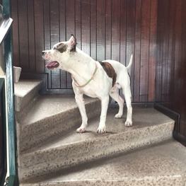 D eaf33b9d 609b 49da 8444 f2aca98e150b