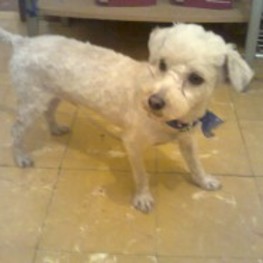 D abc7ccf2 3af0 4d5b b206 b881c2b22b82