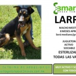 D 0a596b60 04a0 4bc1 ad33 656ef8db3e14