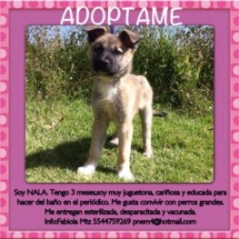 D 57673694 776f 45a9 a487 e2b786cc678a