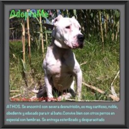 D 399b1573 350d 4267 90d6 a4cfbb3f92a2