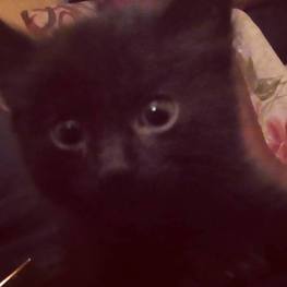 D fb96d5c1 341f 48fe afde fe228bef2379