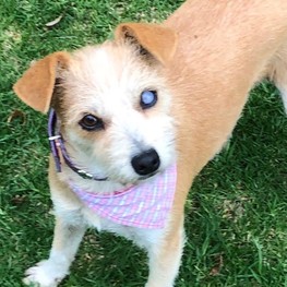 D de304d98 27a7 4873 ac01 6ed0e72cfb56