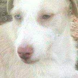 D 387d33c3 ad9f 41ea 9f64 ff6be39d9b4d