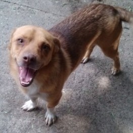 D 2e4c453d a5b0 49e8 acce 5d09188e37d2