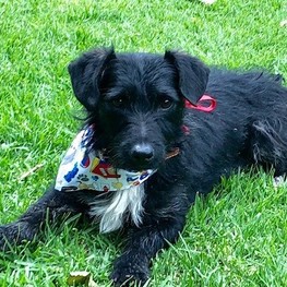 D 8ba666f3 4b76 4d7c a1fb 49116fe79edf