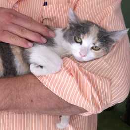 D 363359c3 55e1 470e 8f5d bea5b7b6c15c