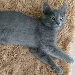 D 17541ff9 955b 4199 a6a6 4c35c721ca1d